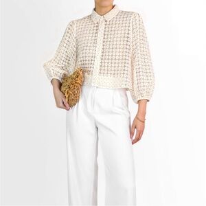 Sheer cropped Zara blouse